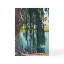 Willow Tree pleut par carte de voeux du lac