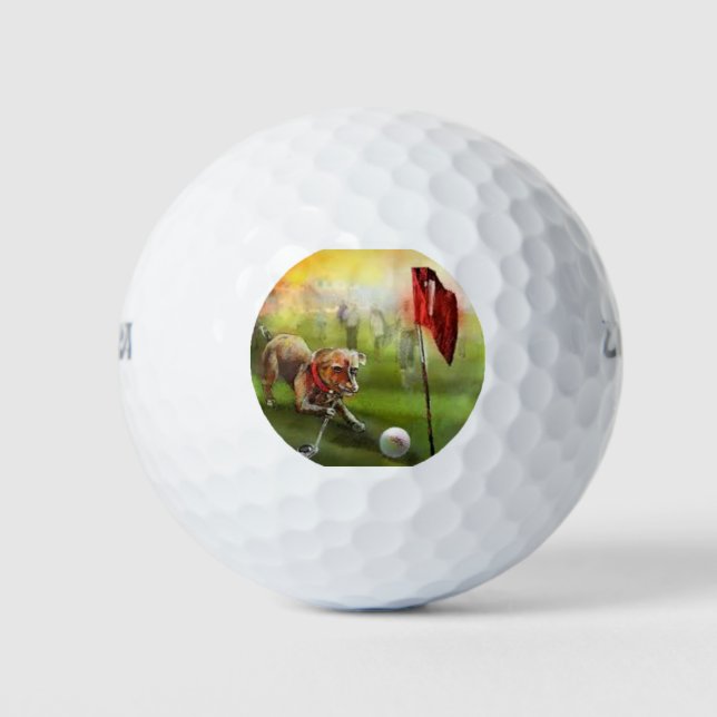 Wilson 500 balles de golf avec l'image de golf pou (Devant)