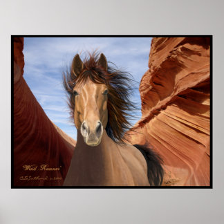 "Wind Runner", affiche Wild Stallion Imprimer