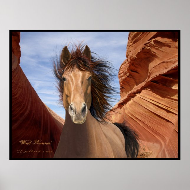 "Wind Runner", affiche Wild Stallion Imprimer (Devant)