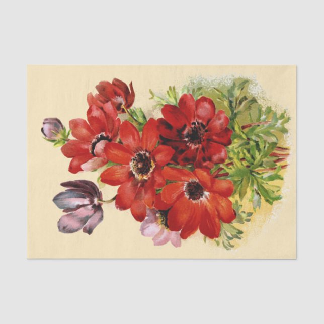 Windflower antique du papier de soie 1898 de soie (Recto)