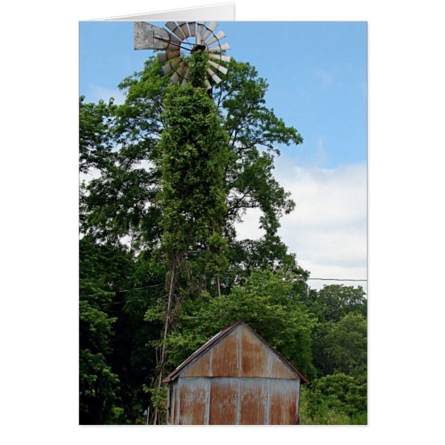 Windmill et Shed (Devant)