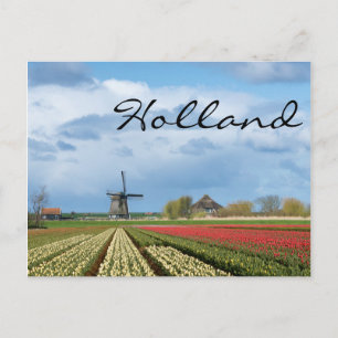 Windmill et tulipes paysage carte postale