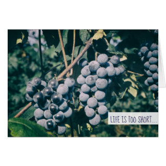 Wine Purple Grapes