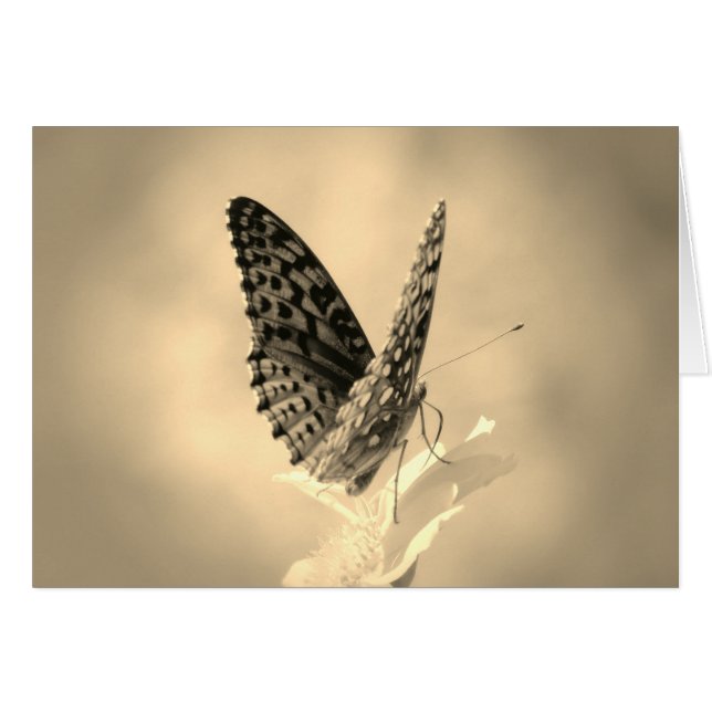 Wings Up - Papillon fritillaire en sépia (Devant horizontal)
