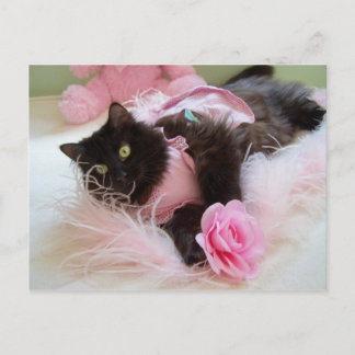 Wink pour carte postale rose