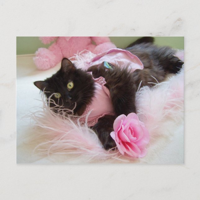 Wink pour carte postale rose (Devant)