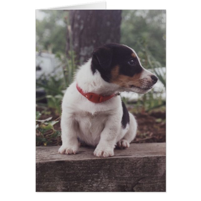 Winnie (Devant)