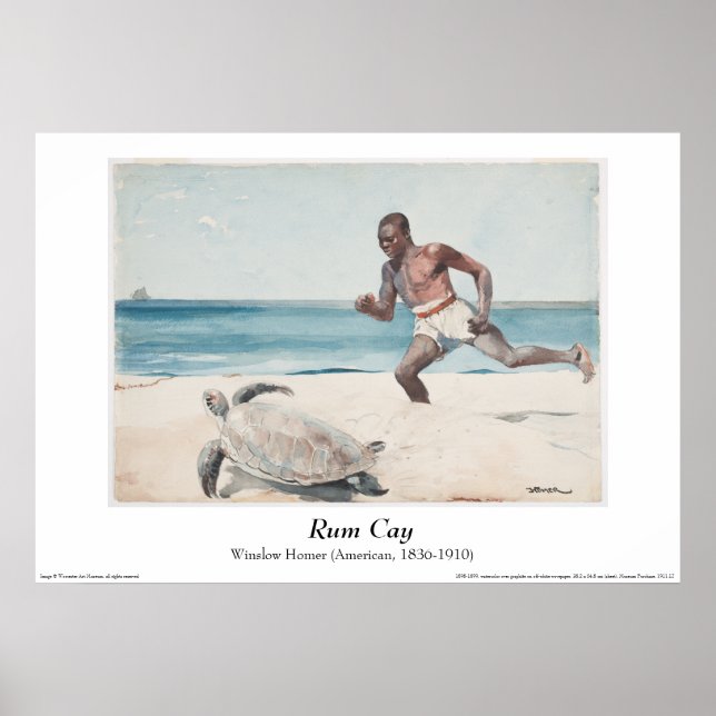 Winslow Homer - "Rum Cay" Poster (Devant)