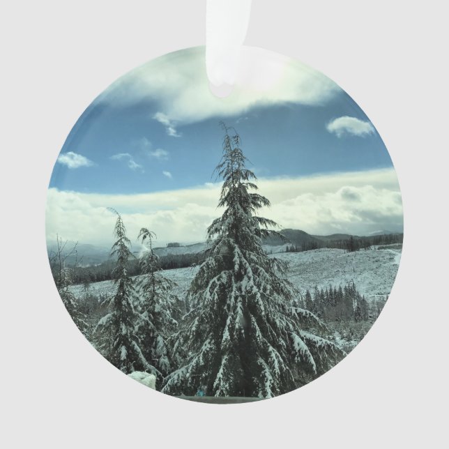 Winter dans la Tillamook State Forest, Oregon (devant)