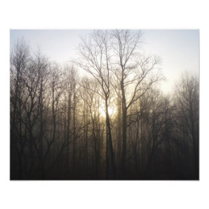 Winter Fog Sunrise Nature Photographie