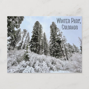 Winter Park, Colorado Carte postale