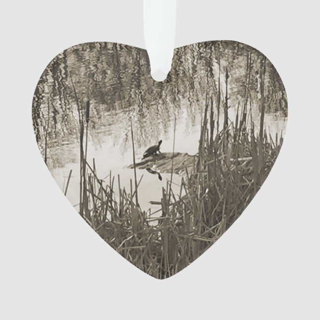 Winter Solstice (devant)