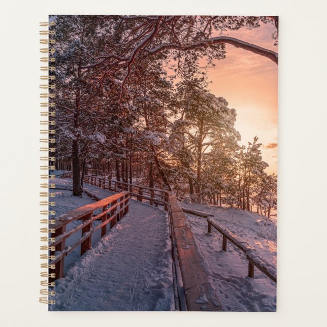 Winter sunset in pine forest near sea (Devant)