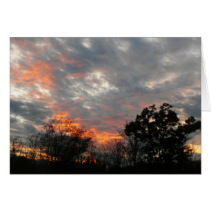 Winter Sunset Nature Paysage Photographie