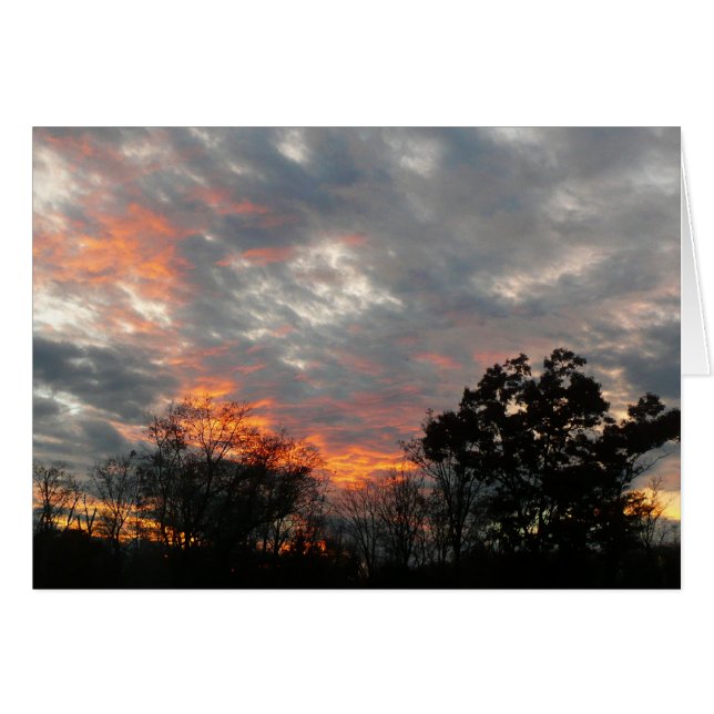 Winter Sunset Nature Paysage Photographie (Devant horizontal)