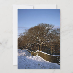 Winter Tree Lyme Handley Cheshire Carte de vacance