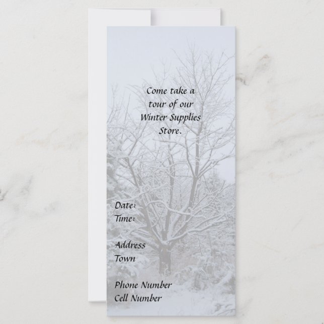 Winter Wonderland (Devant)