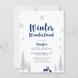 Winter Wonderland 3e Boy Birthday Invitation