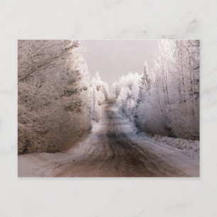 Winter Wonderland - Carte postale