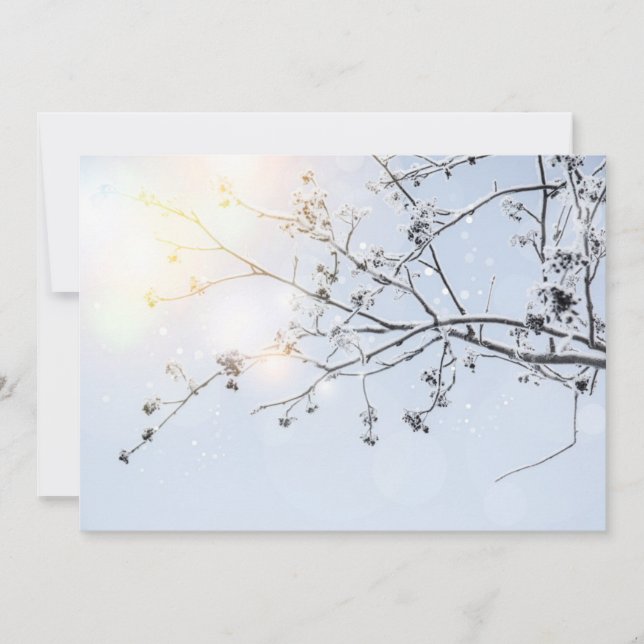 Winter Wonderland par Uname_ (Devant)