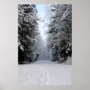 Winter Wonderland Road POSTER