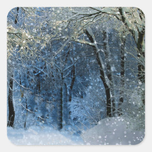 Winter Wonderland Sticker magique Sun Glittery