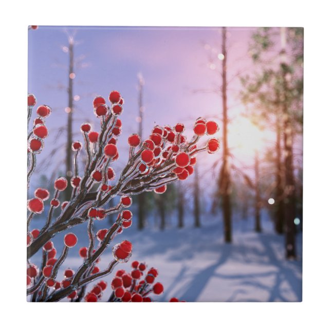 Winterberry dans la glace Carreaux décoratifs / Tr (Devant)