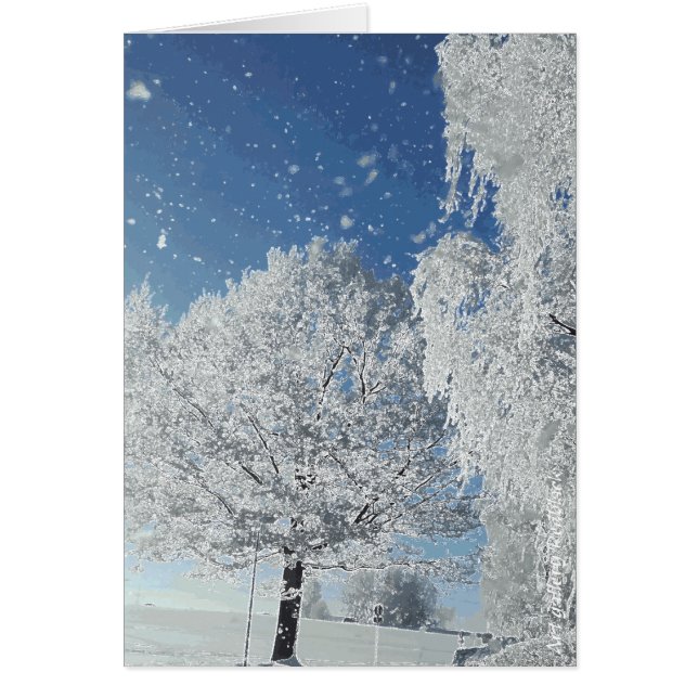 Wintertraum Winterland Schnee Baum (Devant)