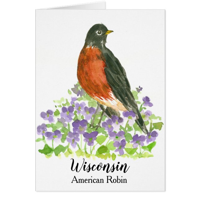 Wisconsin American Robin State Bird (Devant)
