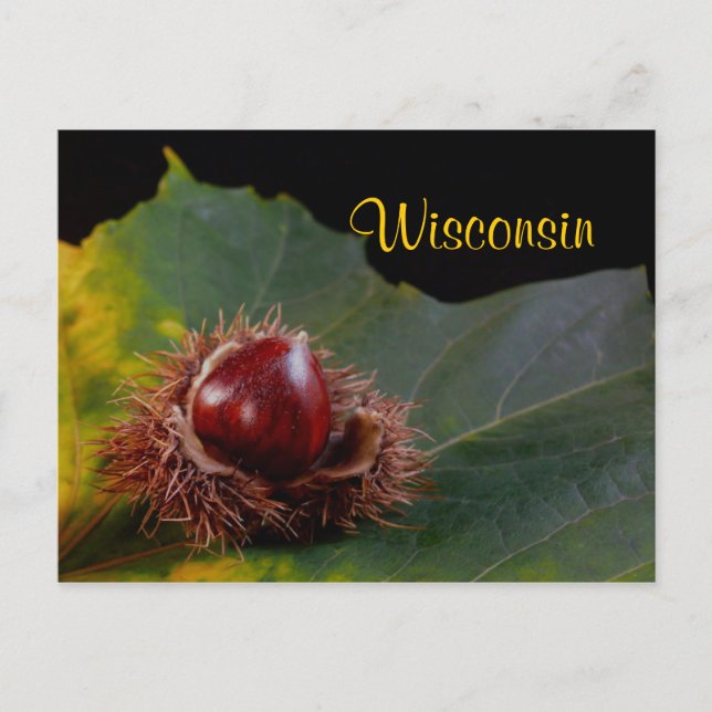 Wisconsin, Feuilles D'Automne Avec Carte Postale N (Devant)