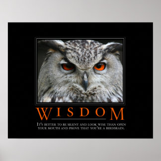 Wisdom Demotivational Poster