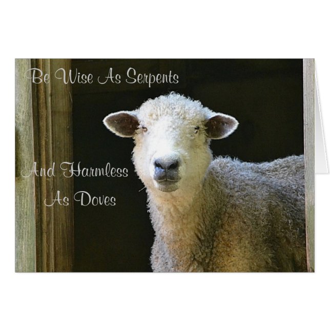 Wise As Serpents Sheep (Devant horizontal)