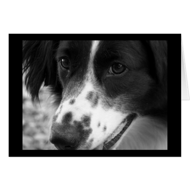 Wise Dog (Devant horizontal)