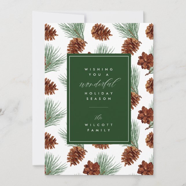 WISHING YOU A WONDERFUL HOLIDAY | Add Your Photo (Devant)