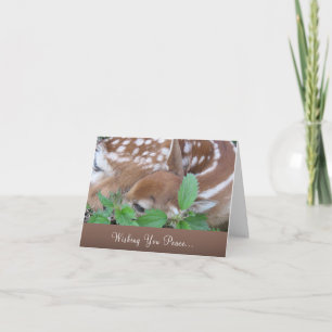 "Wishing you Peace" - Carte de sympathie et de per