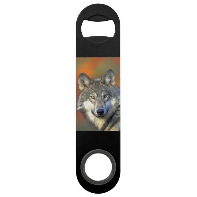 Wolf_2015_0302 (Devant)