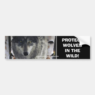 WOLF EYES Wildlife Conservation Bumper sticker