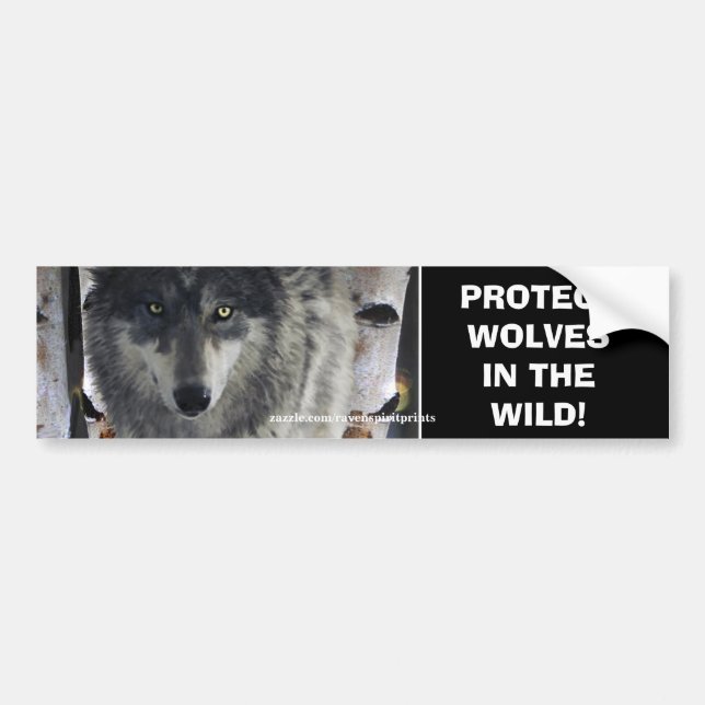 WOLF EYES Wildlife Conservation Bumper sticker (Devant)