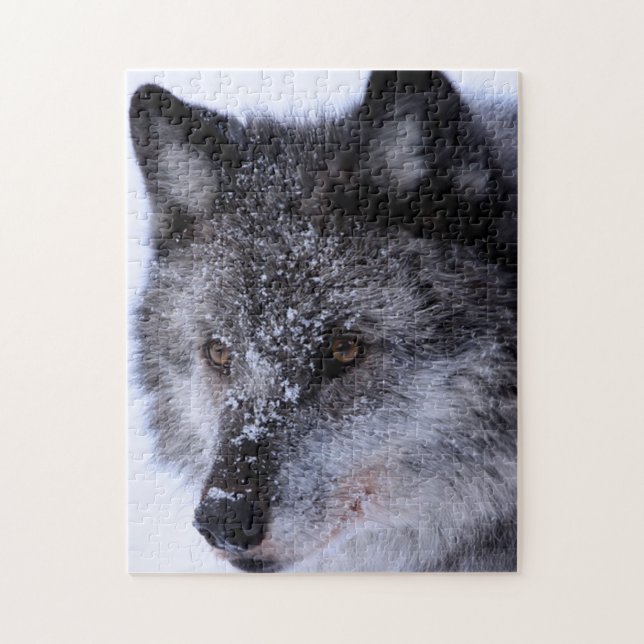 Wolf Face, Puzzle de Jigsaw (Vertical)