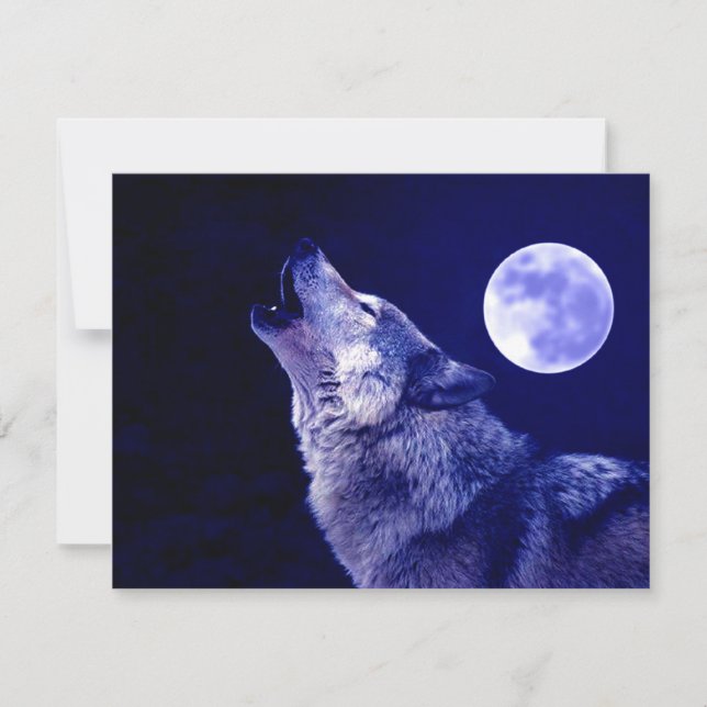 Wolf Howling à Moon (Devant)