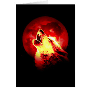 Wolf Howling à Red Night
