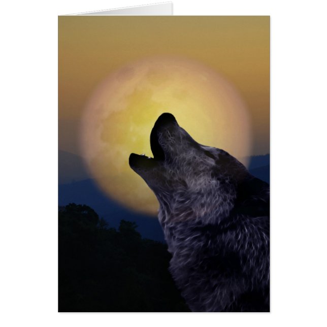 Wolf hurle sur la lune (Devant)