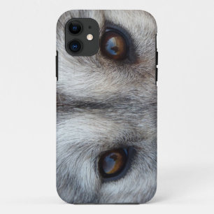 Wolf iPhone 5 Coque Wolf Pup Eyes Coque Wolf Cadea