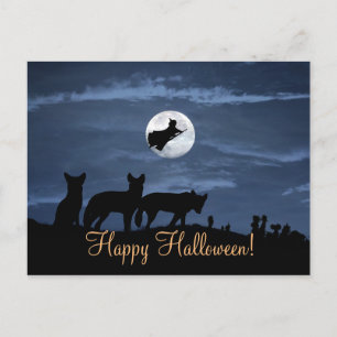 Wolf Pack Happy Halloween Witch Carte postale