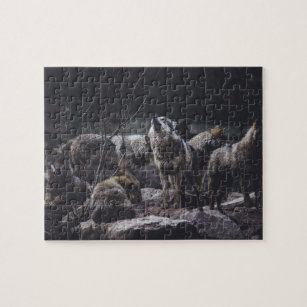 Wolf Pack Jigsaw Puzzle