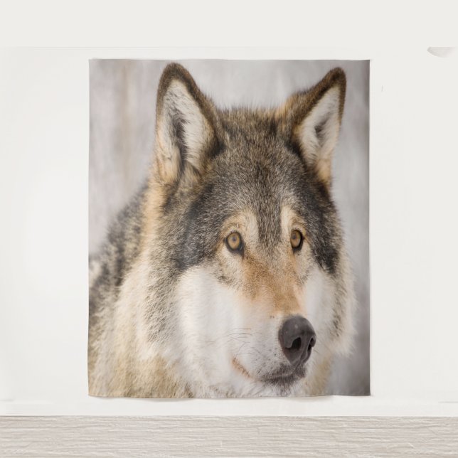 Wolf photo jolie faune sauvage tapisserie (Devant)