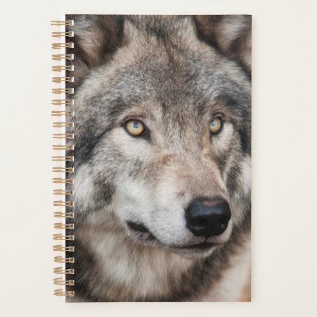 Wolf Planner (Devant)