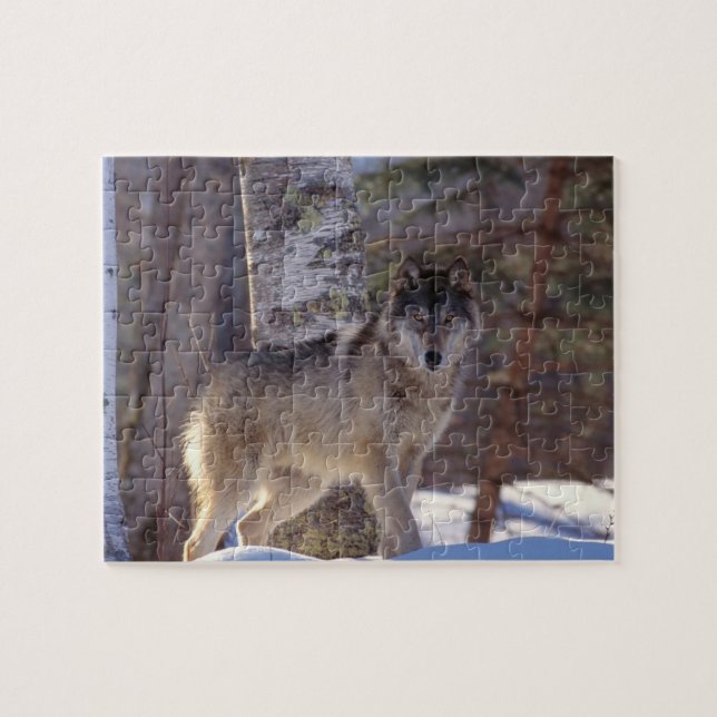 Wolf Puzzle (Horizontal)