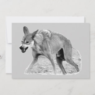 Wolf Snarl